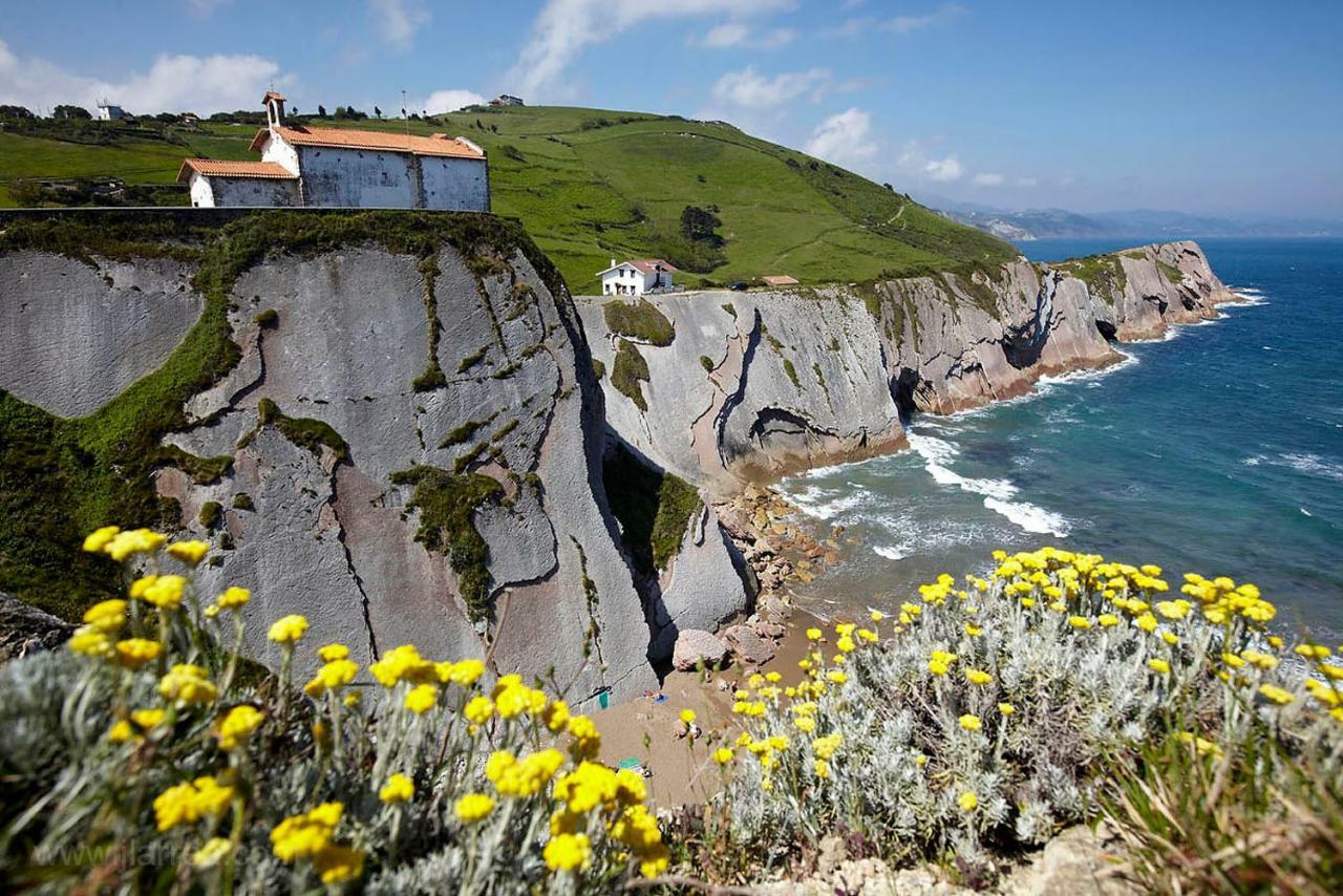 Urain Suites - Apartments At Flysch-Coast Zumaia Eksteriør billede